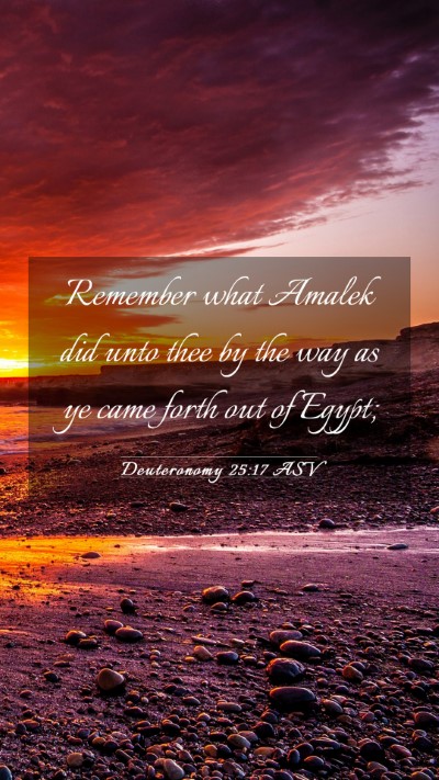Picture 03 - Deuteronomy 25:17 ASV Mobile Phone Wallpaper - Remember what Amalek did unto thee by the way as - Mobile Bible Verse Wallpaper