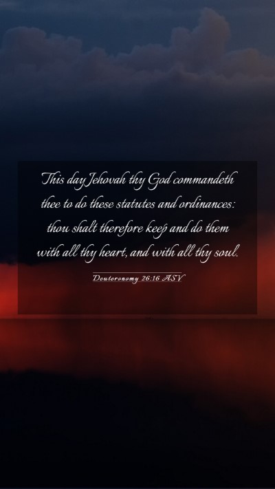 Picture 03 - Deuteronomy 26:16 ASV Mobile Phone Wallpaper - This day Jehovah thy God commandeth thee to do - Mobile Bible Verse Wallpaper