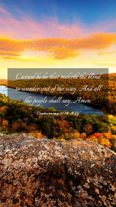Picture 03 - Deuteronomy 27:18 ASV Mobile Phone Wallpaper - Cursed be he that maketh the blind to wander out - Mobile Bible Verse Wallpaper