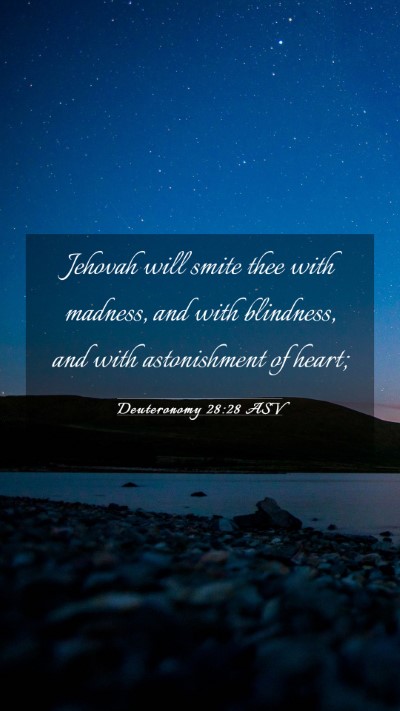 Picture 03 - Deuteronomy 28:28 ASV Mobile Phone Wallpaper - Jehovah will smite thee with madness, and with - Mobile Bible Verse Wallpaper