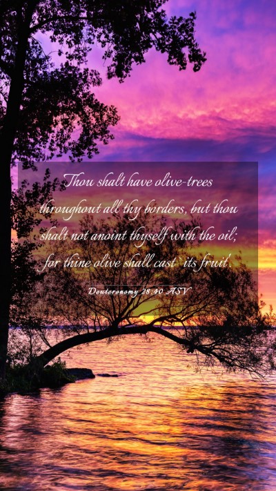 Picture 03 - Deuteronomy 28:40 ASV Mobile Phone Wallpaper - Thou shalt have olive-trees throughout all thy - Mobile Bible Verse Wallpaper