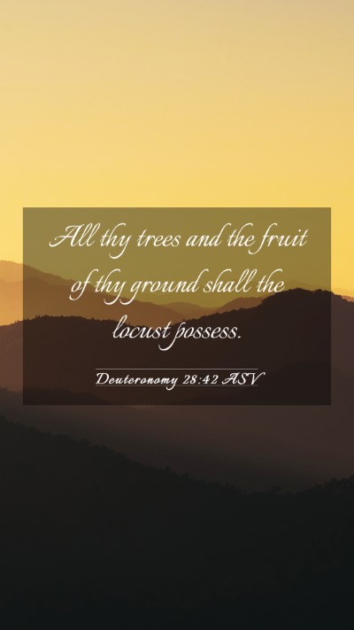 Picture 03 - Deuteronomy 28:42 ASV Mobile Phone Wallpaper - All thy trees and the fruit of thy ground shall - Mobile Bible Verse Wallpaper