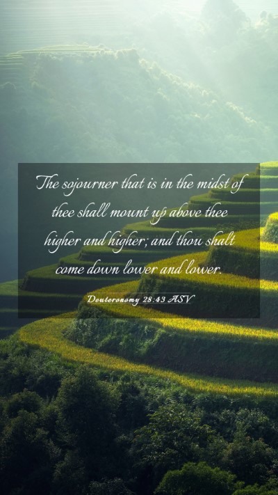 Picture 03 - Deuteronomy 28:43 ASV Mobile Phone Wallpaper - The sojourner that is in the midst of thee shall - Mobile Bible Verse Wallpaper