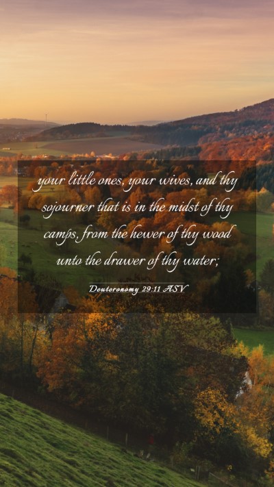 Picture 03 - Deuteronomy 29:11 ASV Mobile Phone Wallpaper - your little ones, your wives, and thy sojourner - Mobile Bible Verse Wallpaper