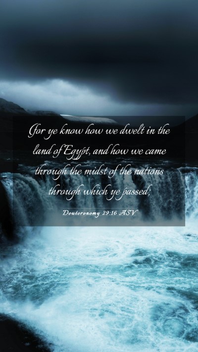 Picture 03 - Deuteronomy 29:16 ASV Mobile Phone Wallpaper - (for ye know how we dwelt in the land of Egypt, - Mobile Bible Verse Wallpaper