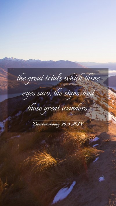 Picture 03 - Deuteronomy 29:3 ASV Mobile Phone Wallpaper - the great trials which thine eyes saw, the signs, - Mobile Bible Verse Wallpaper