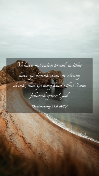 Picture 03 - Deuteronomy 29:6 ASV Mobile Phone Wallpaper - Ye have not eaten bread, neither have ye drunk - Mobile Bible Verse Wallpaper