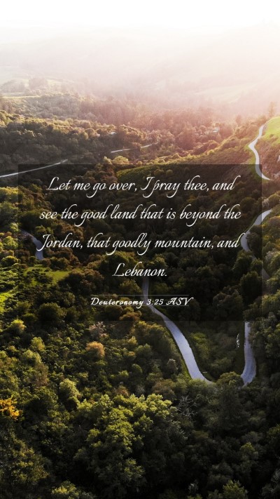 Picture 03 - Deuteronomy 3:25 ASV Mobile Phone Wallpaper - Let me go over, I pray thee, and see the good - Mobile Bible Verse Wallpaper