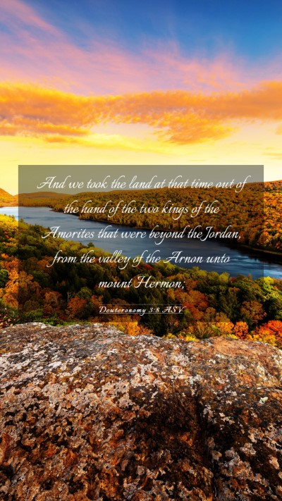 Picture 03 - Deuteronomy 3:8 ASV Mobile Phone Wallpaper - And we took the land at that time out of the hand - Mobile Bible Verse Wallpaper