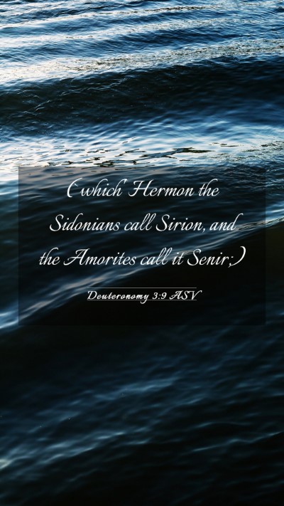 Picture 03 - Deuteronomy 3:9 ASV Mobile Phone Wallpaper - (`which' Hermon the Sidonians call Sirion, and - Mobile Bible Verse Wallpaper
