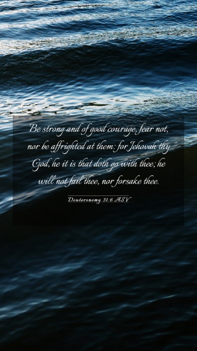 Picture 03 - Deuteronomy 31:6 ASV Mobile Phone Wallpaper - Be strong and of good courage, fear not, nor be - Mobile Bible Verse Wallpaper