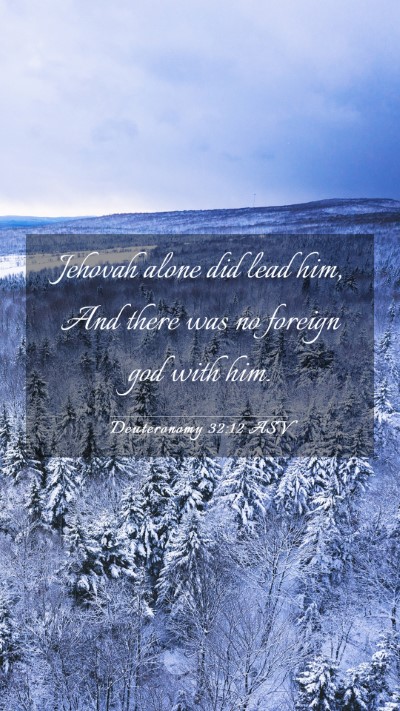 Picture 03 - Deuteronomy 32:12 ASV Mobile Phone Wallpaper - Jehovah alone did lead him, And there was no - Mobile Bible Verse Wallpaper