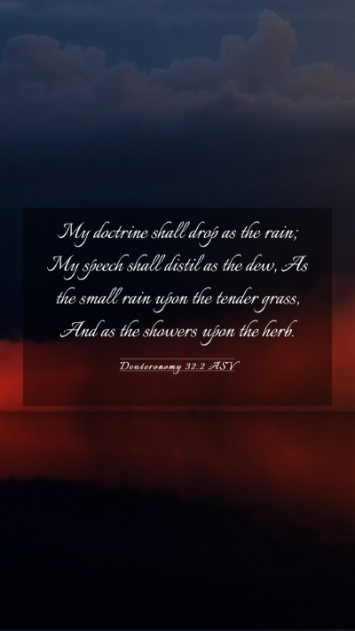 Picture 03 - Deuteronomy 32:2 ASV Mobile Phone Wallpaper - My doctrine shall drop as the rain; My speech - Mobile Bible Verse Wallpaper