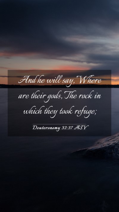 Picture 03 - Deuteronomy 32:37 ASV Mobile Phone Wallpaper - And he will say, Where are their gods, The rock - Mobile Bible Verse Wallpaper