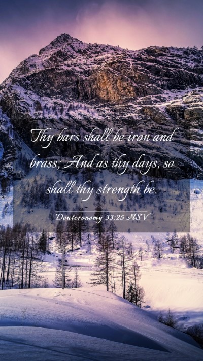 Picture 03 - Deuteronomy 33:25 ASV Mobile Phone Wallpaper - Thy bars shall be iron and brass; And as thy - Mobile Bible Verse Wallpaper