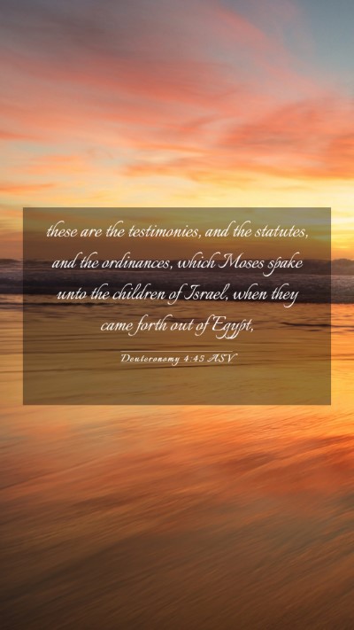 Picture 03 - Deuteronomy 4:45 ASV Mobile Phone Wallpaper - these are the testimonies, and the statutes, and - Mobile Bible Verse Wallpaper