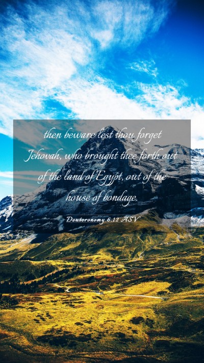 Picture 03 - Deuteronomy 6:12 ASV Mobile Phone Wallpaper - then beware lest thou forget Jehovah, who brought - Mobile Bible Verse Wallpaper