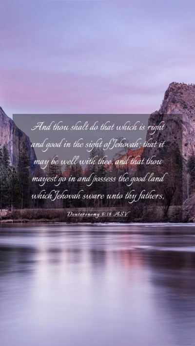 Picture 03 - Deuteronomy 6:18 ASV Mobile Phone Wallpaper - And thou shalt do that which is right and good in - Mobile Bible Verse Wallpaper
