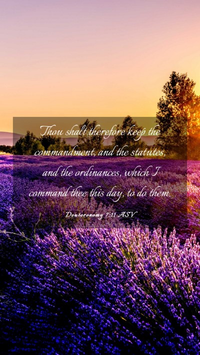 Picture 03 - Deuteronomy 7:11 ASV Mobile Phone Wallpaper - Thou shalt therefore keep the commandment, and - Mobile Bible Verse Wallpaper