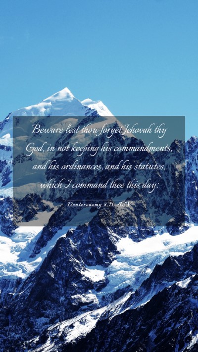 Picture 03 - Deuteronomy 8:11 ASV Mobile Phone Wallpaper - Beware lest thou forget Jehovah thy God, in not - Mobile Bible Verse Wallpaper