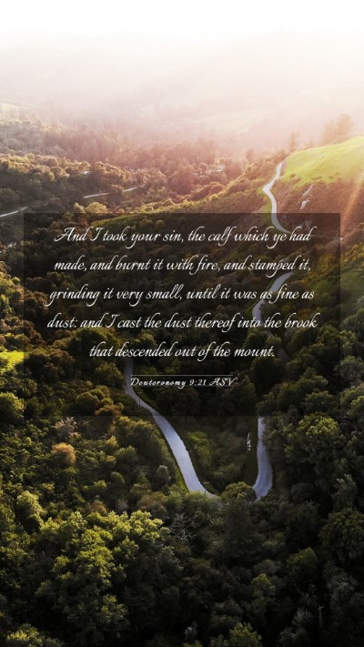Picture 03 - Deuteronomy 9:21 ASV Mobile Phone Wallpaper - And I took your sin, the calf which ye had made, - Mobile Bible Verse Wallpaper