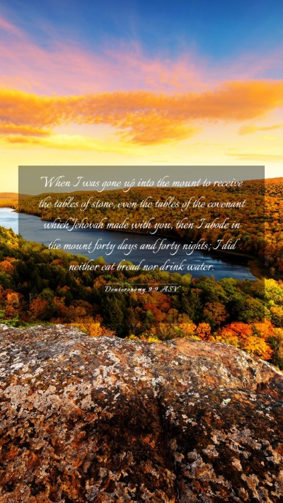 Picture 03 - Deuteronomy 9:9 ASV Mobile Phone Wallpaper - When I was gone up into the mount to receive the - Mobile Bible Verse Wallpaper