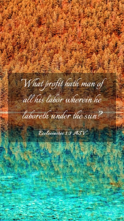 Picture 03 - Ecclesiastes 1:3 ASV Mobile Phone Wallpaper - What profit hath man of all his labor wherein he - Mobile Bible Verse Wallpaper