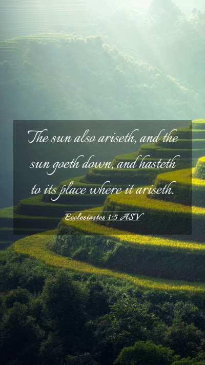 Picture 03 - Ecclesiastes 1:5 ASV Mobile Phone Wallpaper - The sun also ariseth, and the sun goeth down, and - Mobile Bible Verse Wallpaper