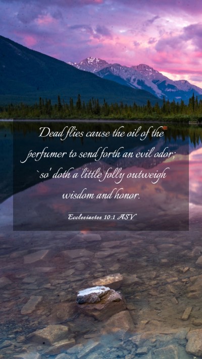 Picture 03 - Ecclesiastes 10:1 ASV Mobile Phone Wallpaper - Dead flies cause the oil of the perfumer to send - Mobile Bible Verse Wallpaper