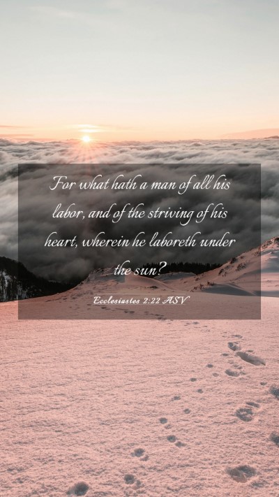 Picture 03 - Ecclesiastes 2:22 ASV Mobile Phone Wallpaper - For what hath a man of all his labor, and of the - Mobile Bible Verse Wallpaper