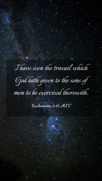 Picture 03 - Ecclesiastes 3:10 ASV Mobile Phone Wallpaper - I have seen the travail which God hath given to - Mobile Bible Verse Wallpaper