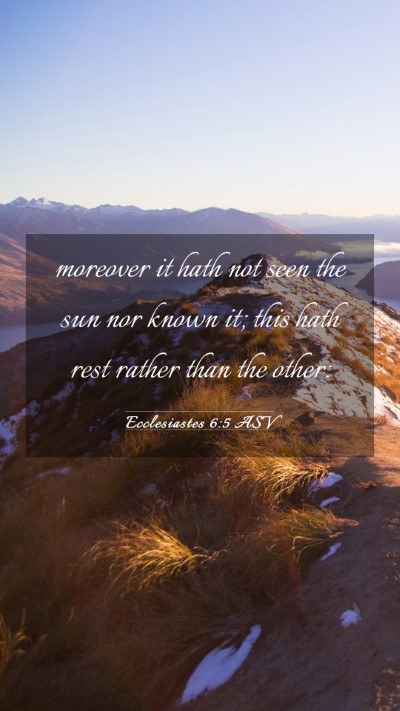 Picture 03 - Ecclesiastes 6:5 ASV Mobile Phone Wallpaper - moreover it hath not seen the sun nor known it; - Mobile Bible Verse Wallpaper