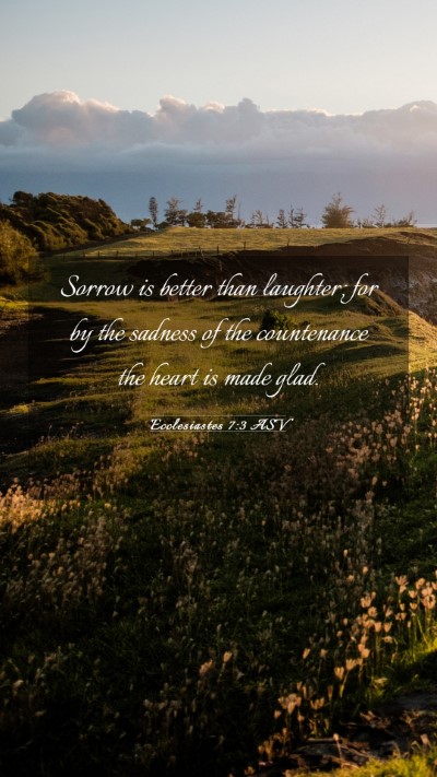 Picture 03 - Ecclesiastes 7:3 ASV Mobile Phone Wallpaper - Sorrow is better than laughter; for by the - Mobile Bible Verse Wallpaper