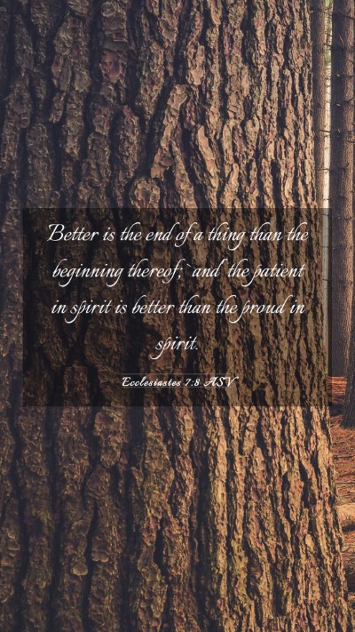Picture 03 - Ecclesiastes 7:8 ASV Mobile Phone Wallpaper - Better is the end of a thing than the beginning - Mobile Bible Verse Wallpaper