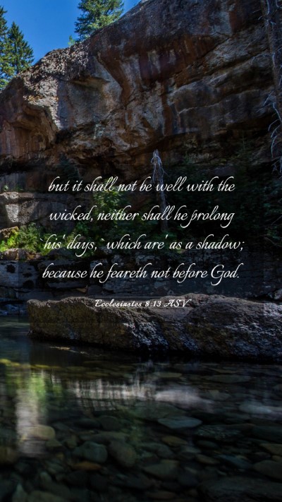 Picture 03 - Ecclesiastes 8:13 ASV Mobile Phone Wallpaper - but it shall not be well with the wicked, neither - Mobile Bible Verse Wallpaper