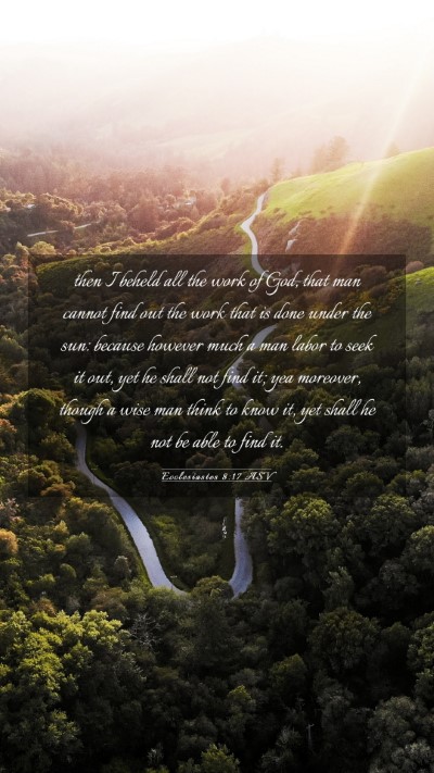 Picture 03 - Ecclesiastes 8:17 ASV Mobile Phone Wallpaper - then I beheld all the work of God, that man - Mobile Bible Verse Wallpaper