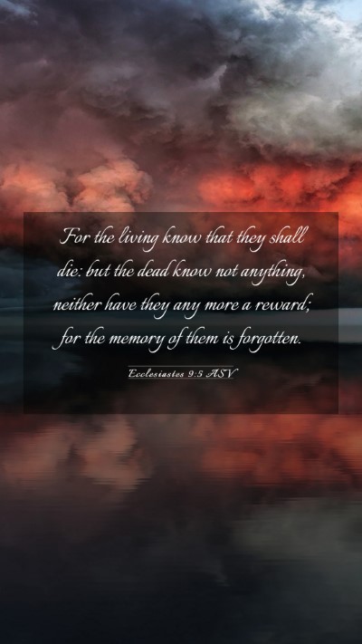 Picture 03 - Ecclesiastes 9:5 ASV Mobile Phone Wallpaper - For the living know that they shall die: but the - Mobile Bible Verse Wallpaper