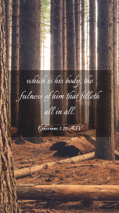 Picture 03 - Ephesians 1:23 ASV Mobile Phone Wallpaper - which is his body, the fulness of him that - Mobile Bible Verse Wallpaper