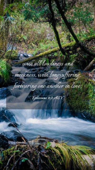 Picture 03 - Ephesians 4:2 ASV Mobile Phone Wallpaper - with all lowliness and meekness, with - Mobile Bible Verse Wallpaper