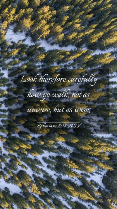 Picture 03 - Ephesians 5:15 ASV Mobile Phone Wallpaper - Look therefore carefully how ye walk, not as - Mobile Bible Verse Wallpaper