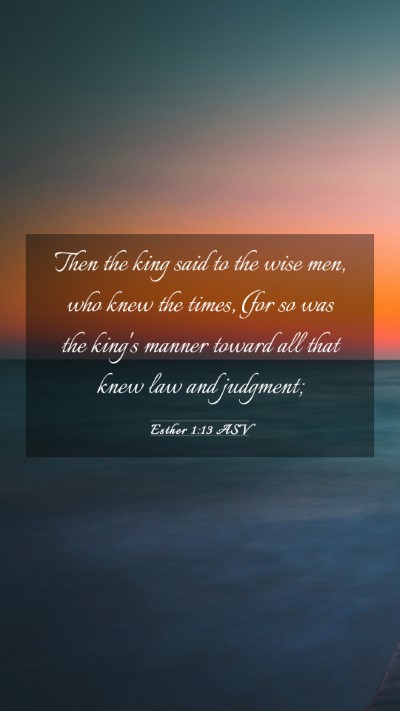 Picture 03 - Esther 1:13 ASV Mobile Phone Wallpaper - Then the king said to the wise men, who knew the - Mobile Bible Verse Wallpaper