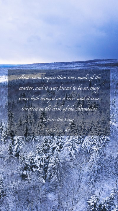 Picture 03 - Esther 2:23 ASV Mobile Phone Wallpaper - And when inquisition was made of the matter, and - Mobile Bible Verse Wallpaper