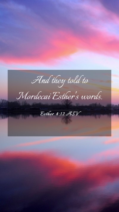 Picture 03 - Esther 4:12 ASV Mobile Phone Wallpaper - And they told to Mordecai Esther's - Mobile Bible Verse Wallpaper