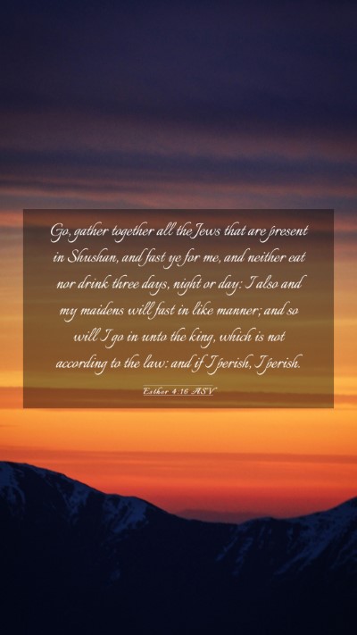 Picture 03 - Esther 4:16 ASV Mobile Phone Wallpaper - Go, gather together all the Jews that are present - Mobile Bible Verse Wallpaper