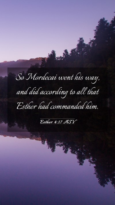Picture 03 - Esther 4:17 ASV Mobile Phone Wallpaper - So Mordecai went his way, and did according to - Mobile Bible Verse Wallpaper
