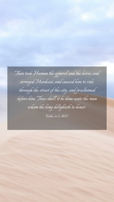 Picture 03 - Esther 6:11 ASV Mobile Phone Wallpaper - Then took Haman the apparel and the horse, and - Mobile Bible Verse Wallpaper