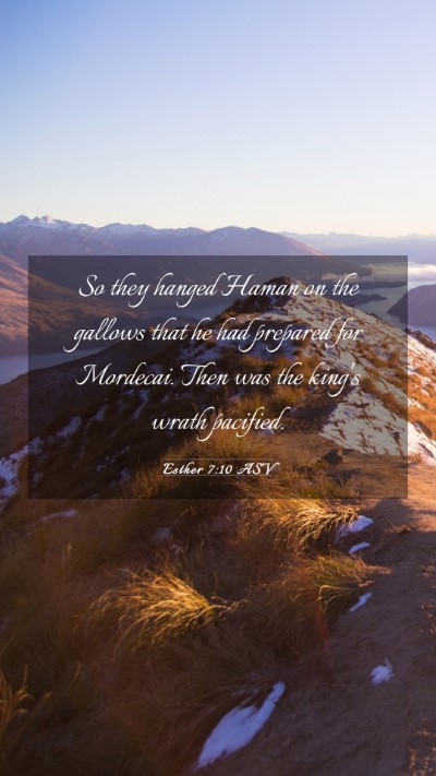 Picture 03 - Esther 7:10 ASV Mobile Phone Wallpaper - So they hanged Haman on the gallows that he had - Mobile Bible Verse Wallpaper