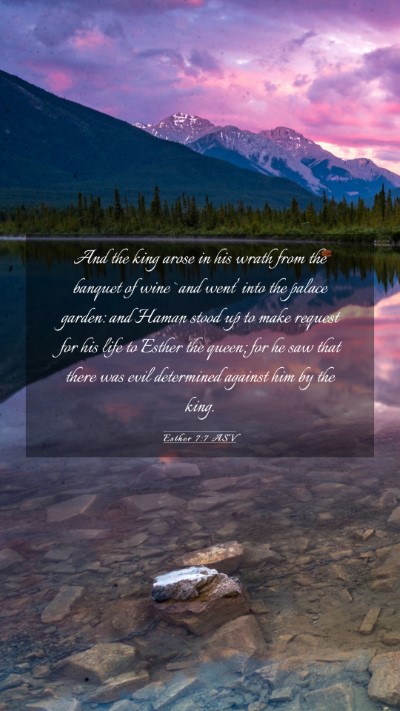 Picture 03 - Esther 7:7 ASV Mobile Phone Wallpaper - And the king arose in his wrath from the banquet - Mobile Bible Verse Wallpaper