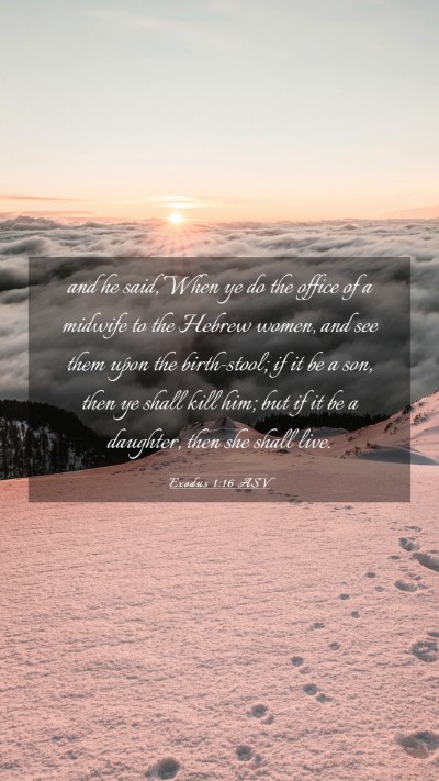 Picture 03 - Exodus 1:16 ASV Mobile Phone Wallpaper - and he said, When ye do the office of a midwife - Mobile Bible Verse Wallpaper