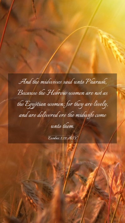 Picture 03 - Exodus 1:19 ASV Mobile Phone Wallpaper - And the midwives said unto Pharaoh, Because the - Mobile Bible Verse Wallpaper